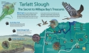 Client: Willapa National Wildlife Refuge. Role: Illustration and design. 
